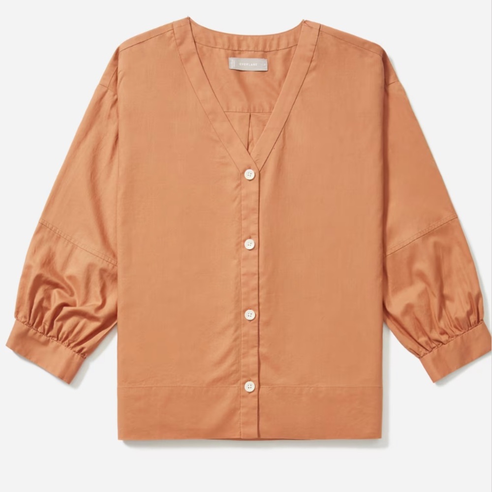 Everlane Silky Lantern Top